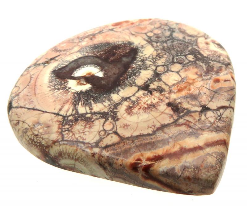 Teardrop 43x44mm Birds Eye Jasper Cabochon 03