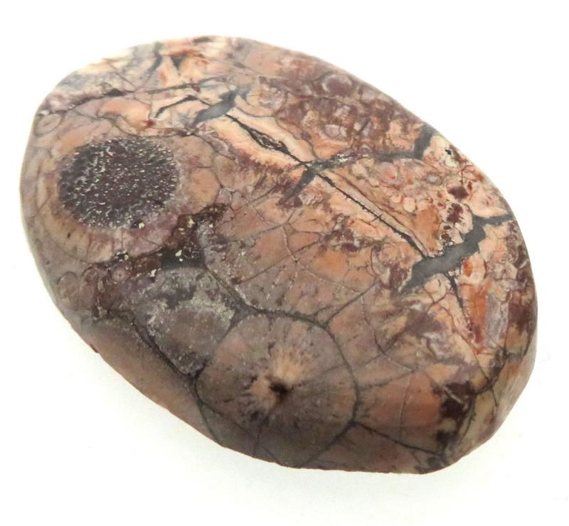 Oval 35x23mm Birds Eye Jasper Cabochon 04