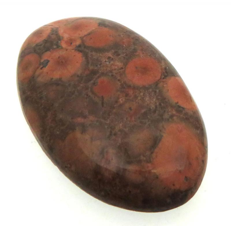 Oval 39x23mm Poppy Jasper Cabochon 05