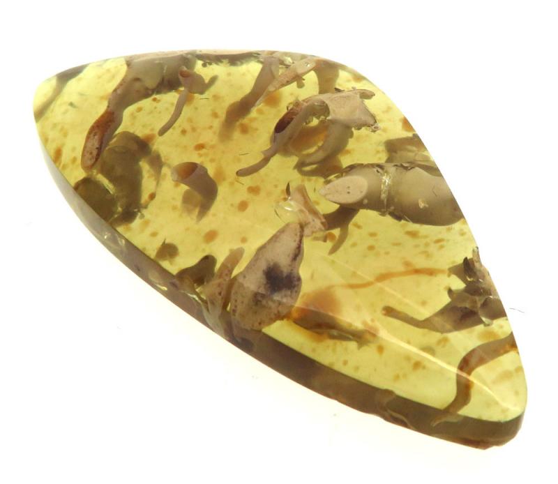 Freeform 42x22mm Indonesian Amber Cabochon 01
