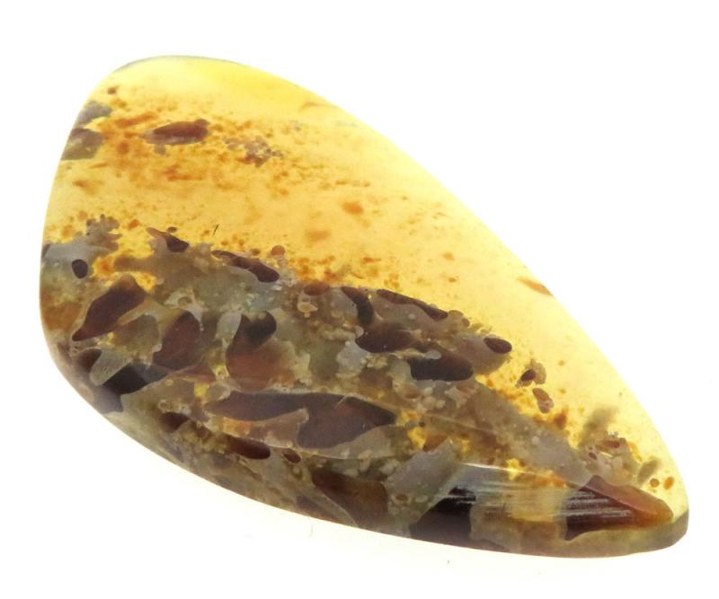 Freeform 45x24mm Indonesian Amber Cabochon 02