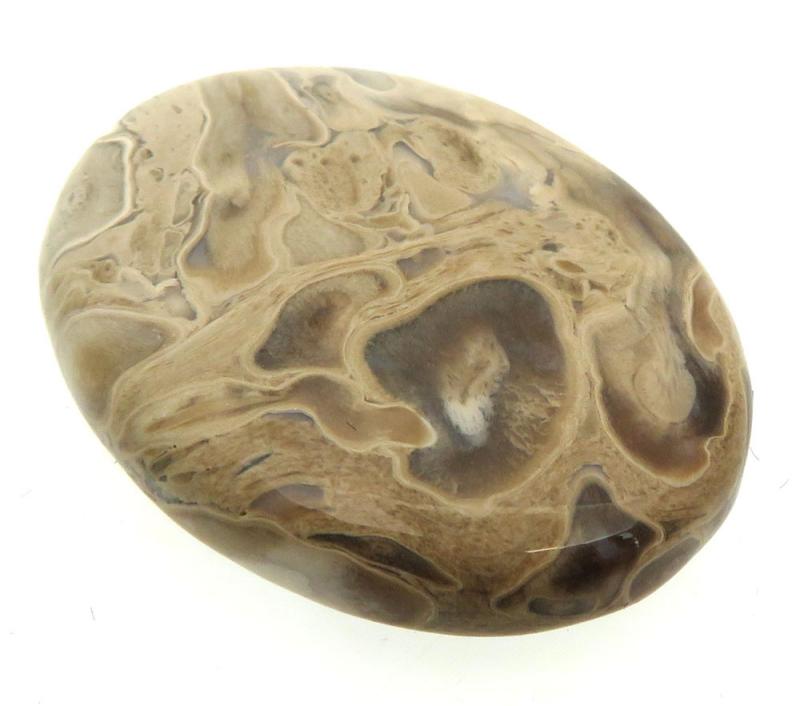 Oval 32x25mm Indonesian Palm Root Cabochon 02