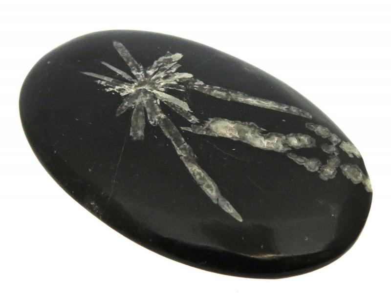 Oval 48x31mm Chrysanthemum Stone Cabochon 03