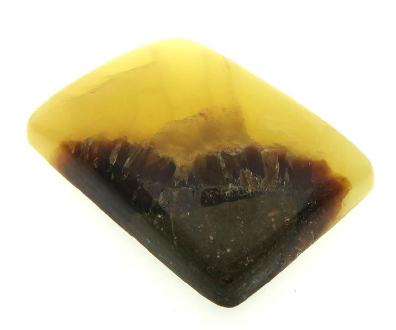 Rectangle 29x21mm Septarian Cabochon 01