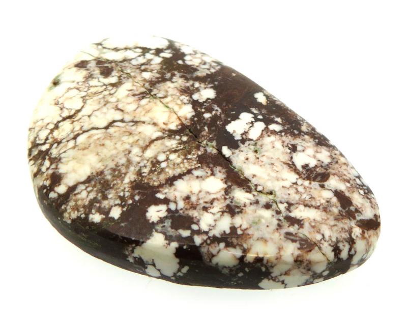 Freeform 38x25mm Wild Horse Magnesite Cabochon 05