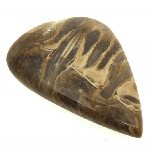 Teardrop 41x30mm Petrified Palm Root Cabochon 14
