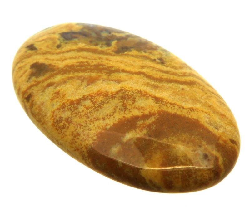 Oval 47x29mm Wood Jasper Cabochon 03
