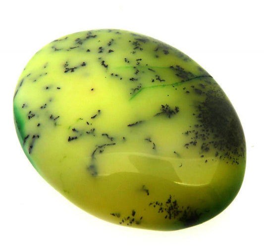 Oval 30x23mm Green Coloured Dendritic Opal Cabochon 32