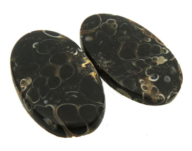 Oval 24x14mm Turritella Agate Cabochon Pair 03