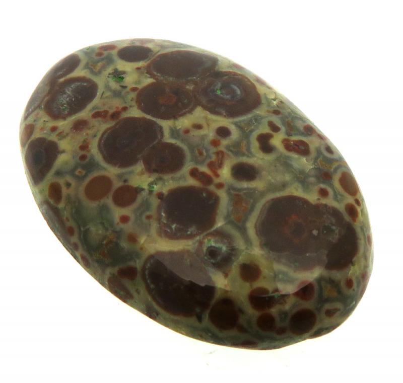 Oval 33x22mm Asteroid Jasper Cabochon 20