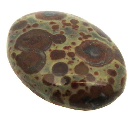 Oval 29x21mm Asteroid Jasper Cabochon 21