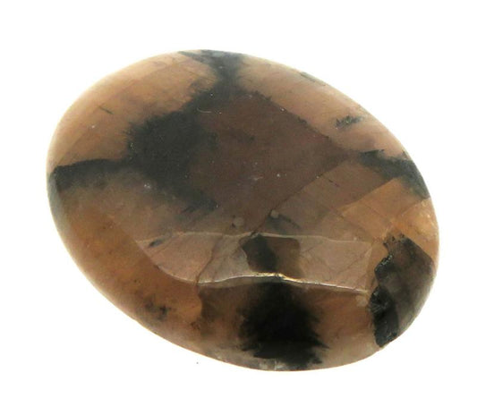 Oval 26x20mm Chiastolite Cabochon 01