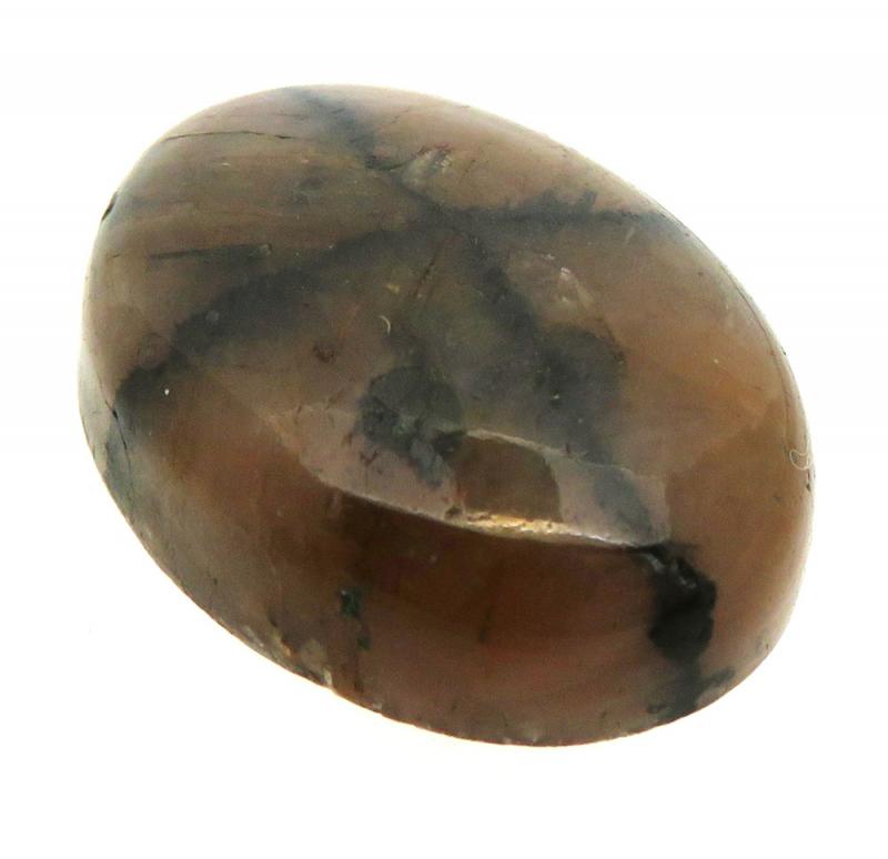 Oval 24x18mm Chiastolite Cabochon 11