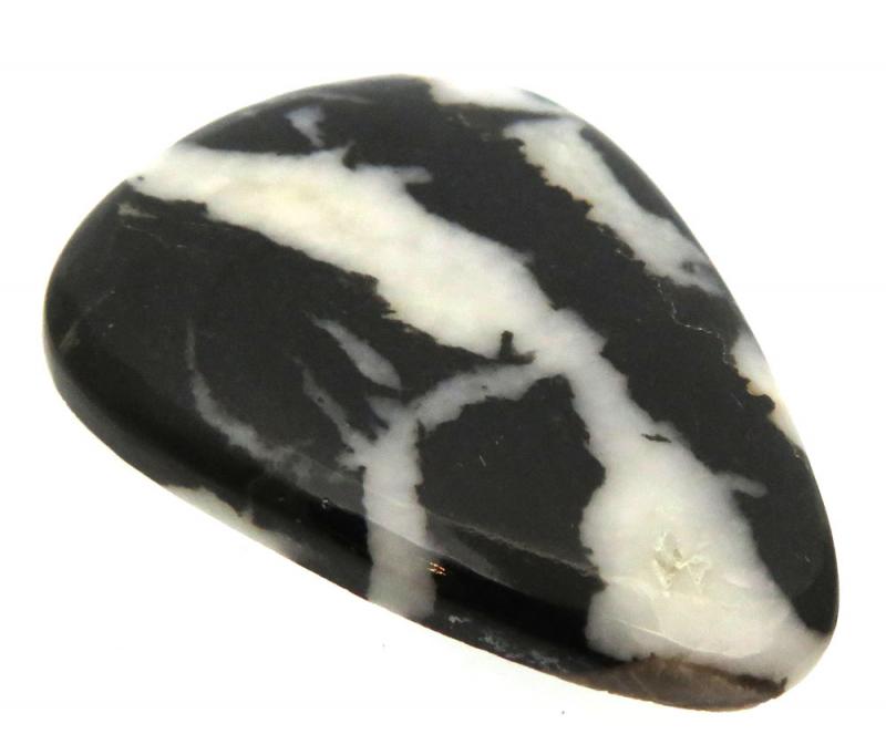 Teardrop 38x28mm White Buffalo Turquoise Cabochon 11