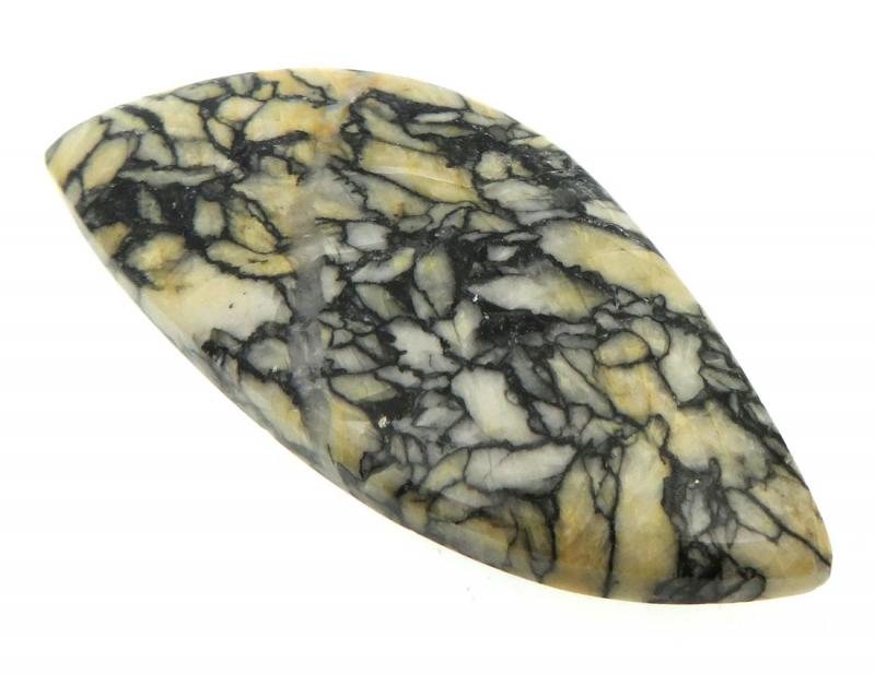 Freeform 52x23mm Pinolith Cabochon 08