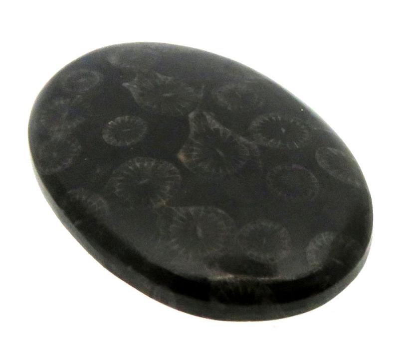 Oval 34x24mm Black Fossil Coral Cabochon 09