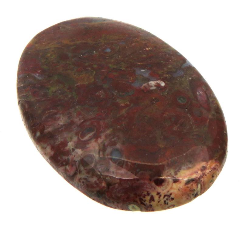 Oval 37x25mm Palm Agate Cabochon 02