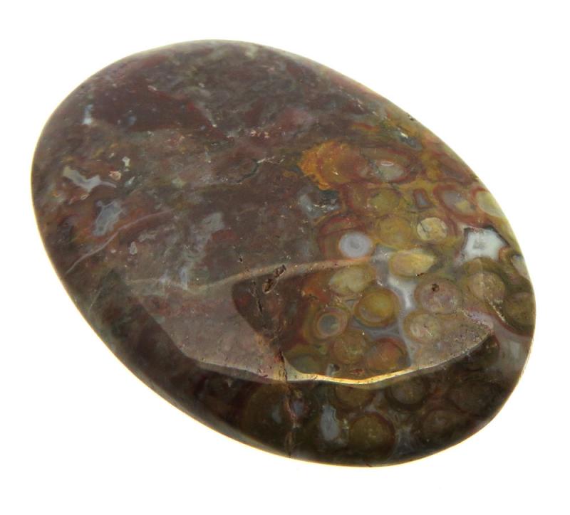 Oval 39x26mm Palm Agate Cabochon 04