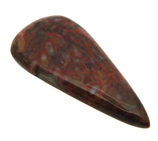 Teardrop 41x19mm Palm Agate Cabochon 12