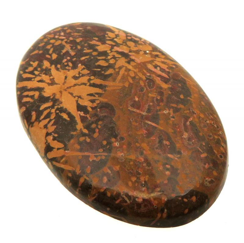 Oval 43x28mm Firework Jasper Cabochon 11
