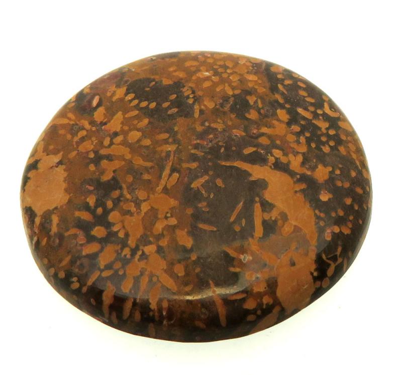 Round 31x31mm Firework Jasper Cabochon 12