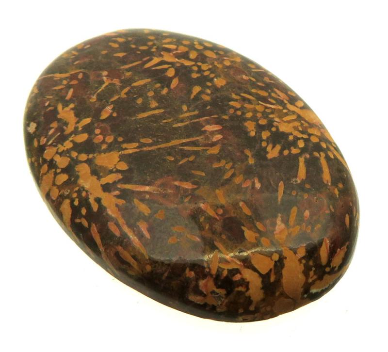 Oval 38x26mm Firework Jasper Cabochon 15