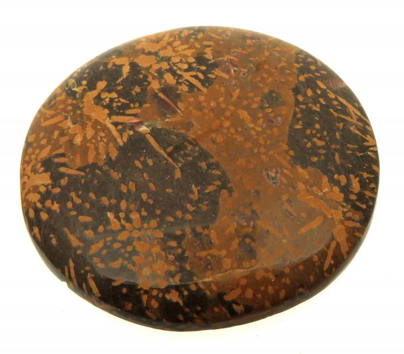 Round 43x43mm Firework Jasper Cabochon 16