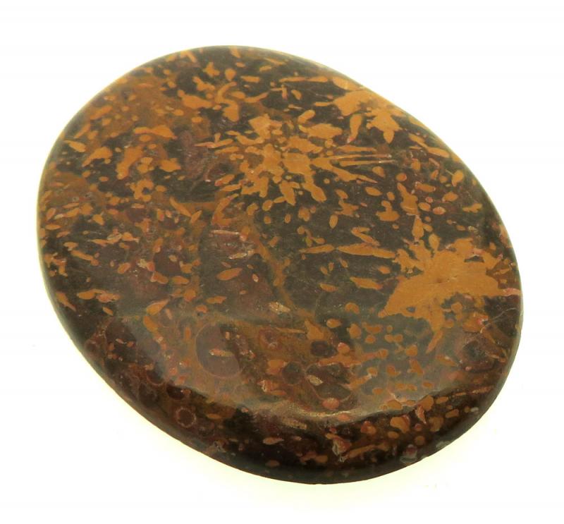 Oval 45x35mm Firework Jasper Cabochon 21