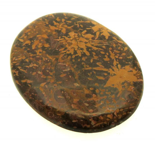 Oval 45x35mm Firework Jasper Cabochon 21