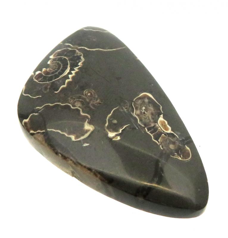Freeform 39x22mm Marston Marble Cabochon 08