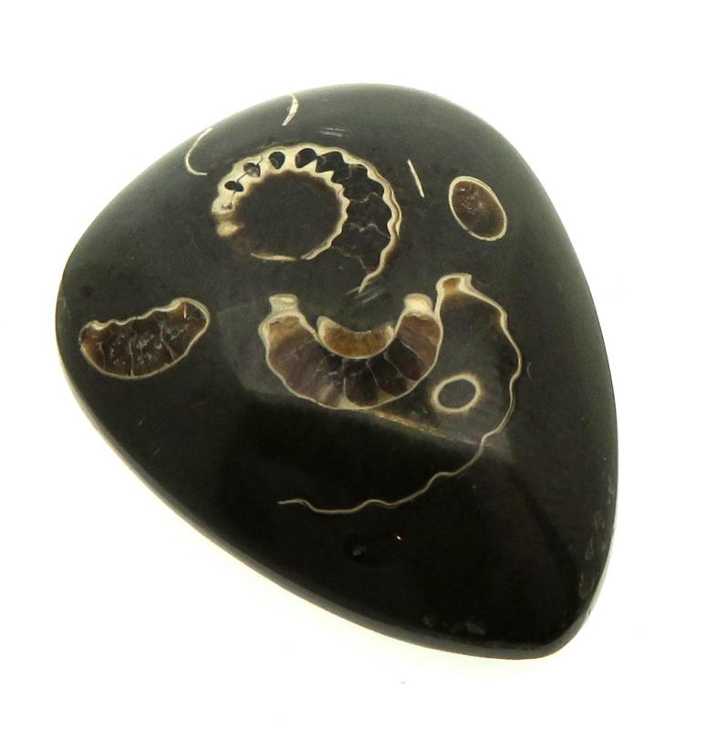 Teardrop 27x21mm Marston Marble Cabochon 12