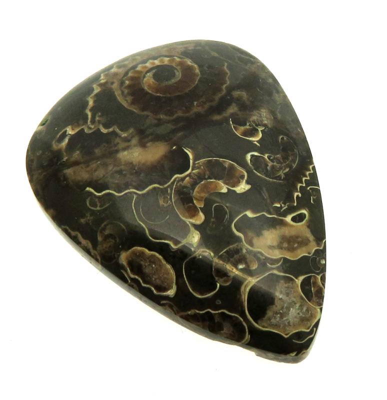 Teardrop 37x27mm Marston Marble Cabochon 15