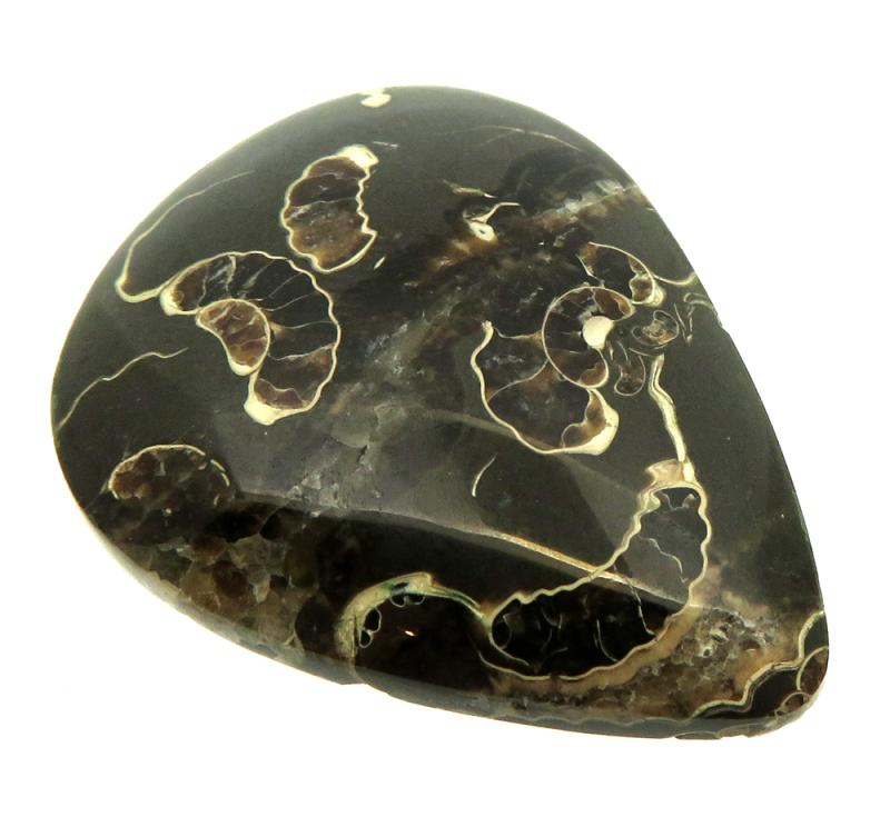 Freeform 35x267mm Marston Marble Cabochon 16