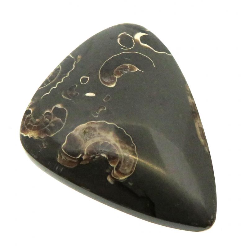 Freeform 34x25mm Marston Marble Cabochon 20