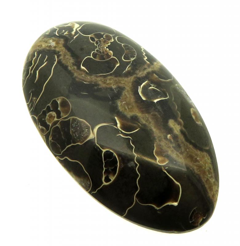 Oval 38x21mm Marston Marble Cabochon 21