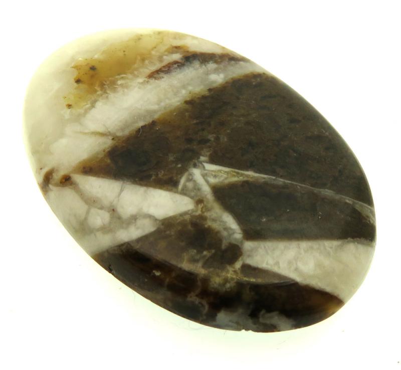 Oval 37x24mm Wild Horse Jasper Cabochon 24