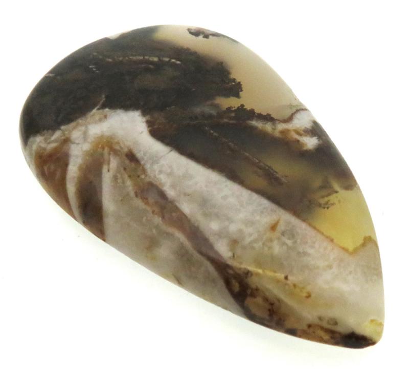 Teardrop 45x26mm Wild Horse Jasper Cabochon 29