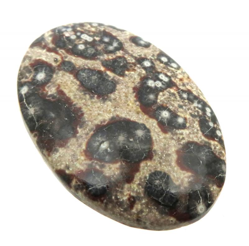 Oval 39x25mm Viper Jasper Cabochon 07
