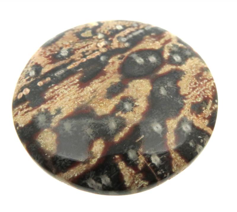 Round 33x33mm Viper Jasper Cabochon 08