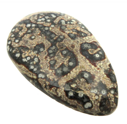 Teardrop 44x27mm Viper Jasper Cabochon 09