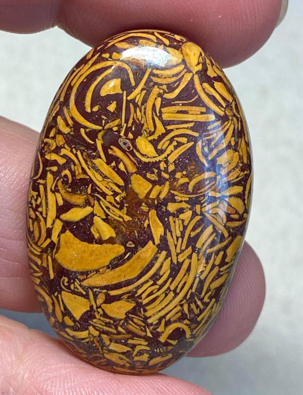 Oval 38x24mm Mariam Jasper Cabochon 16