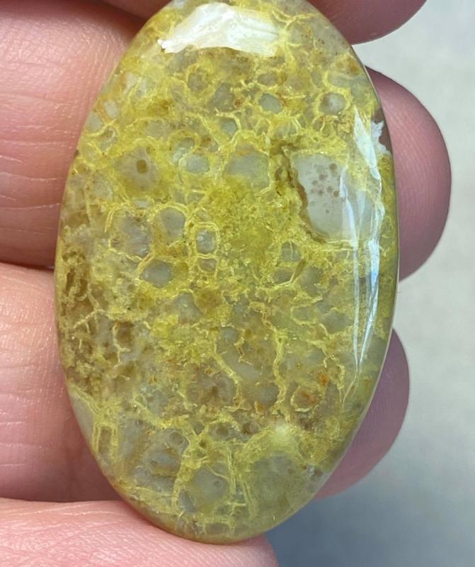 Oval 38x23mm Light Green Opal Cabochon 34