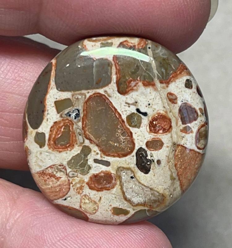 Round 27x27mm Leopardite Jasper Cabochon 26
