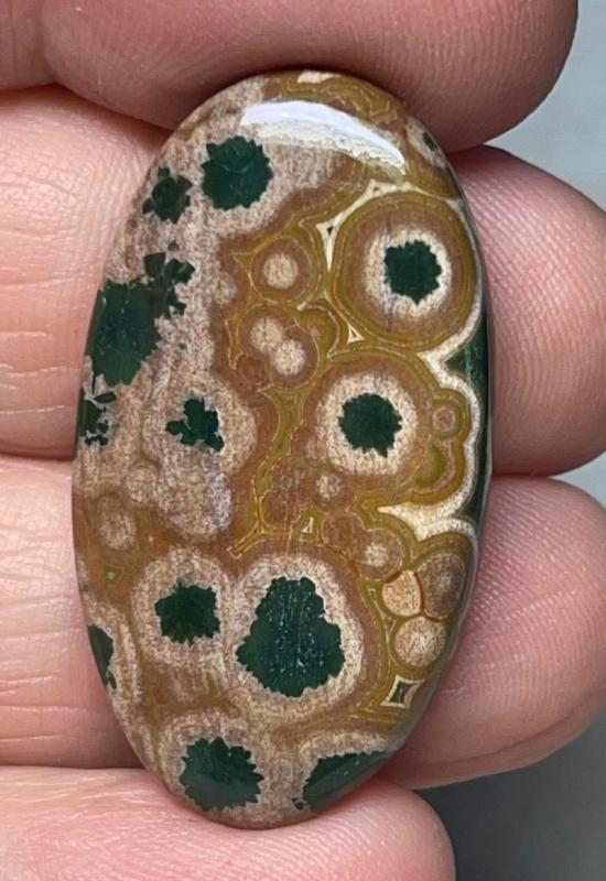 Oval 35x19mm Ocean Jasper Cabochon 24