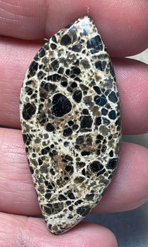 Freeform 49x22mm Orbicular Jasper Cabochon 04
