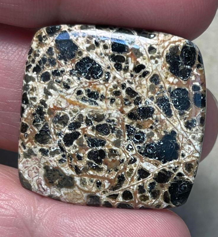 Square 28x28mm Orbicular Jasper Cabochon 05