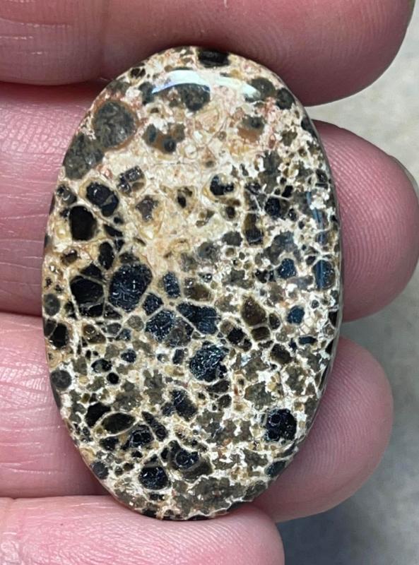 Oval 37x24mm Orbicular Jasper Cabochon 06