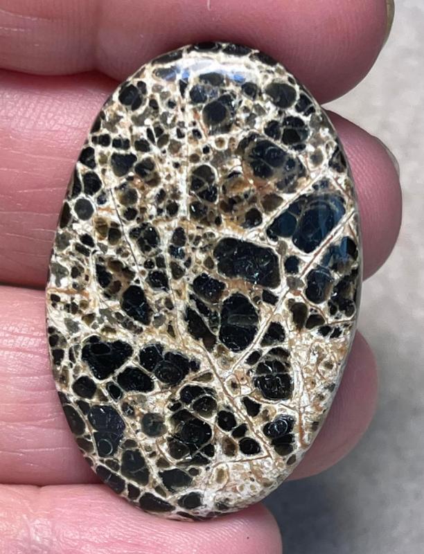 Oval 42x26mm Orbicular Jasper Cabochon 15