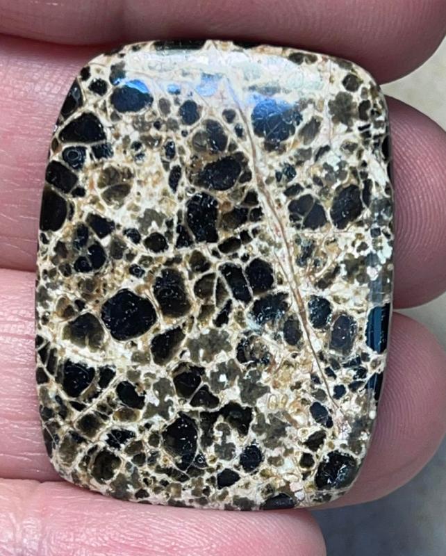 Rectangle 35x26mm Orbicular Jasper Cabochon 22