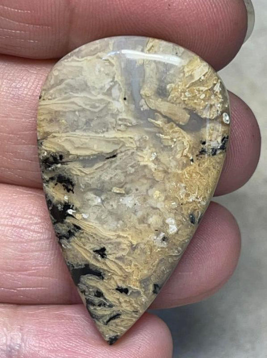 Teardrop 42x26mm Dendritic Tiger Agate Cabochon 19